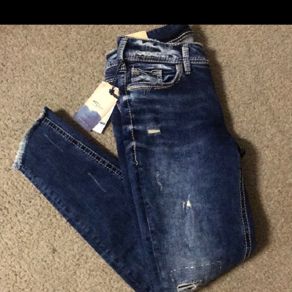 Silver Jean's Suki - Picture 5 of 8